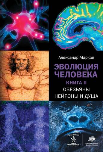 Обложка: Александр Марков — Эволюция человека. Книга 2. Обезьяны, нейроны и душа