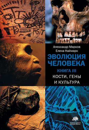 Обложка: Александр Марков, Елена Наймарк — Эволюция человека. Книга 3. Кости, гены и культура