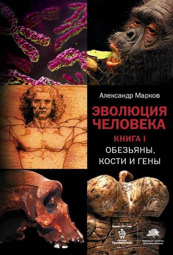 Обложка: Александр Марков — Эволюция человека. Книга 1. Обезьяны, кости и гены